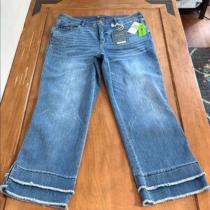 Democracy NWT Absolution Kick Flare Blue Jeans with Frayed Hem Size 14
